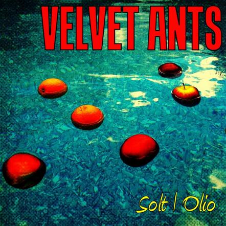 The Velvet Ants Release New Album 'Solt Olio'