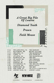 New Dates Announced For First Ever Topshelf Records Tour Featuring A Great Big Pile Of Leaves, Diamond Youth, Prawn And Field Mouse; Tickets Now Available